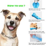 Natural dental care for dogs (Chew toy toothbrush)