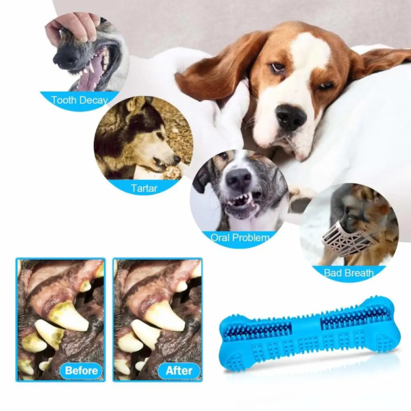 Natural dental care for dogs (Chew toy toothbrush)