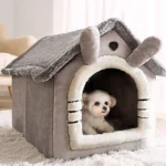 House for dog and cat