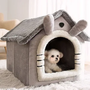 House for dog and cat