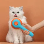 2024 New Cat Brush