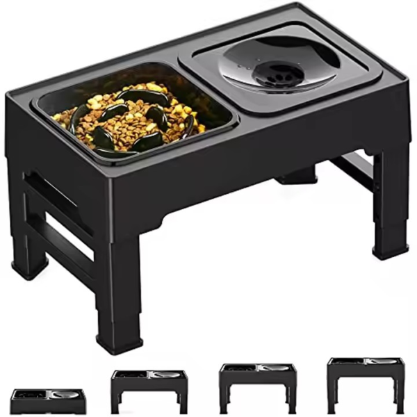 Elevated Slow Feeder Bowls for Dogs