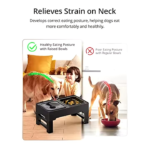 Elevated Slow Feeder Bowls for Dogs