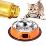 Stainless Steel Bowls for Cats and little Dogs