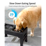 Elevated Slow Feeder Bowls for Dogs