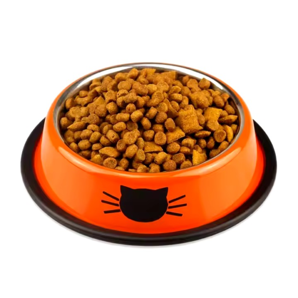 Stainless Steel Bowls for Cats and little Dogs