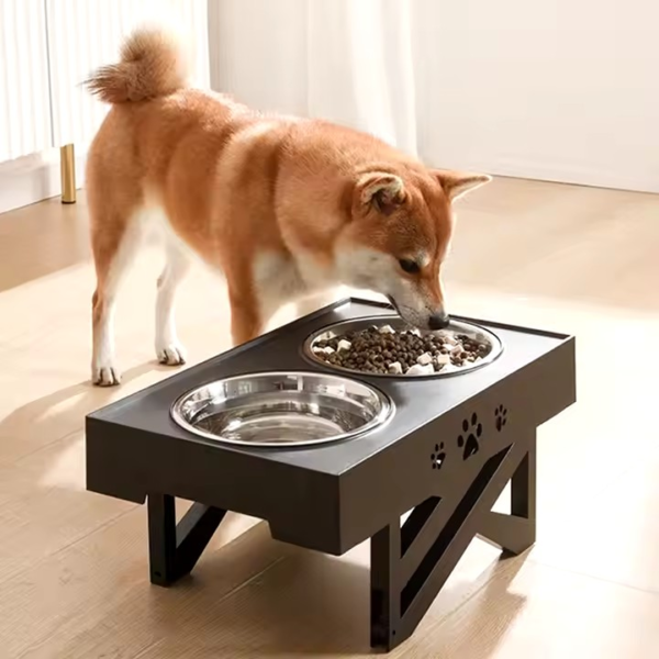 Raised Stainless Steel DoubleBowl for Pets