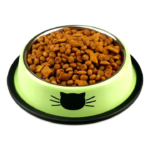 Stainless Steel Bowls for Cats and little Dogs