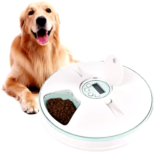 Automatic Feeder with Programmable Timer for 6 Meals