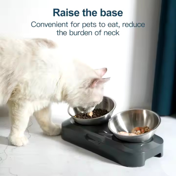 Stainless Steel made Double Bowls With Raised Stand for Pets