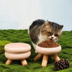 Raised Rounded Ceramic bowl for Pets