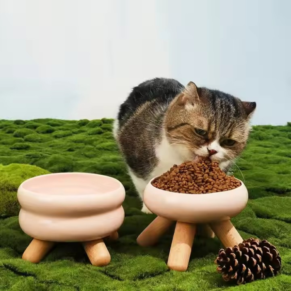 Raised Rounded Ceramic bowl for Pets