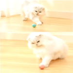 Automatic self-moving smart ball for Cats