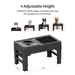Elevated Slow Feeder Bowls for Dogs