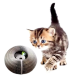 Paper magic organ scratching board with bell grinding claw for Cats