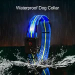 Waterproof Electric Dog LED Collar