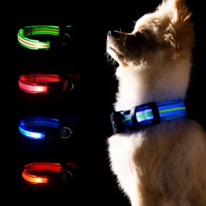 Waterproof Electric Dog LED Collar