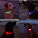 Waterproof Electric Dog LED Collar