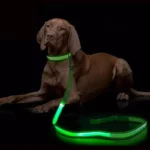 Luminous Rope Lead Leash for Dog