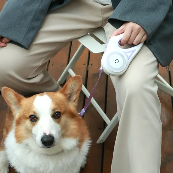 Retractable Dog Leash with Light Led Designer