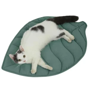 Leaf Shaped Cotton Cat Bed