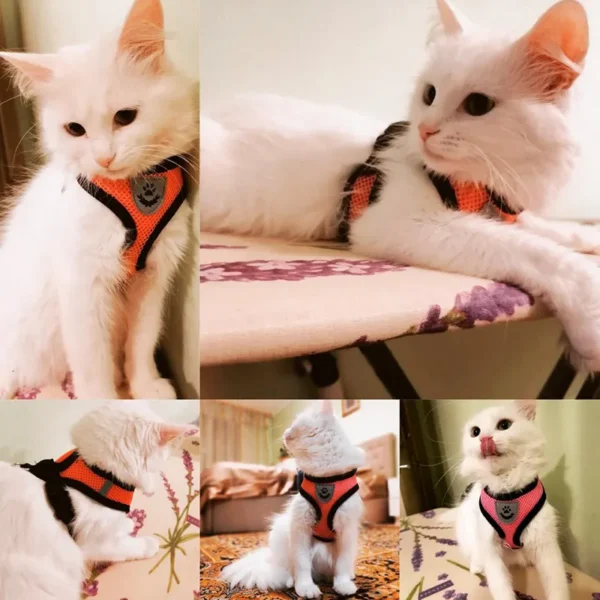 Reflective Cat Harness Fashion Vest