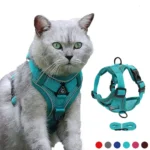 Cat Harness and Leash Walking Outdoor