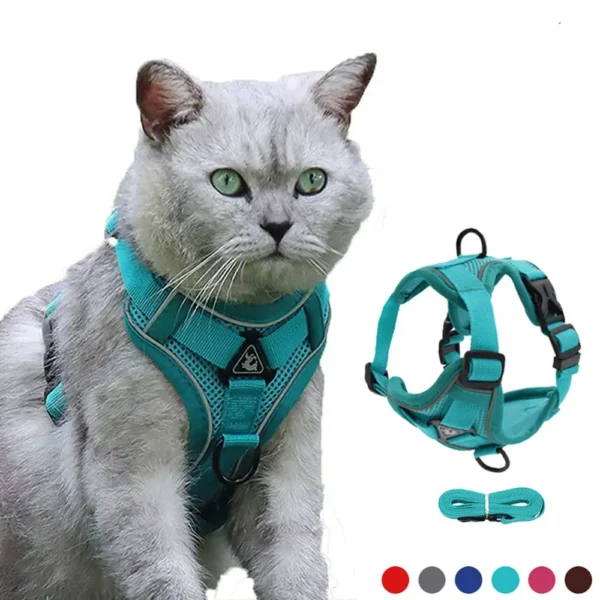 Cat Harness and Leash Walking Outdoor