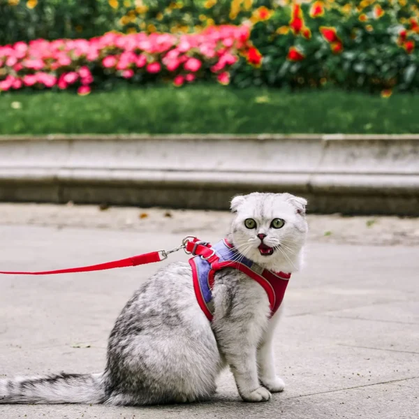 Reflective Cat Harness Fashion Vest