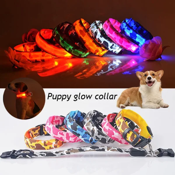 USB Rechargeable Dog Collar Light (USB and Battery)