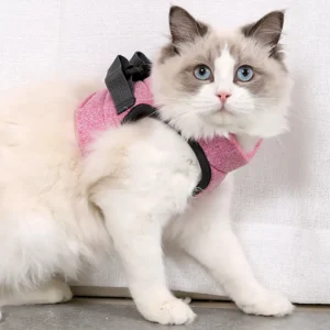 Cat Modern Harness Leash