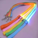 Luminous Rope Lead Leash for Dog