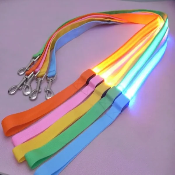 Luminous Rope Lead Leash for Dog