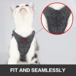 Cat Modern Harness Leash