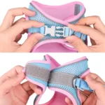 Small Puppy Dog Harness Leash Set