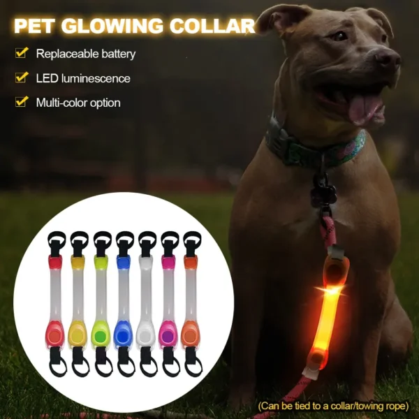 Dog Collar Outdoor Waterproof LED Flashing Light