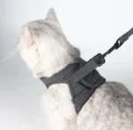 Cat Modern Harness Leash