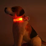 USB Rechargeable Dog Collar Light (USB and Battery)