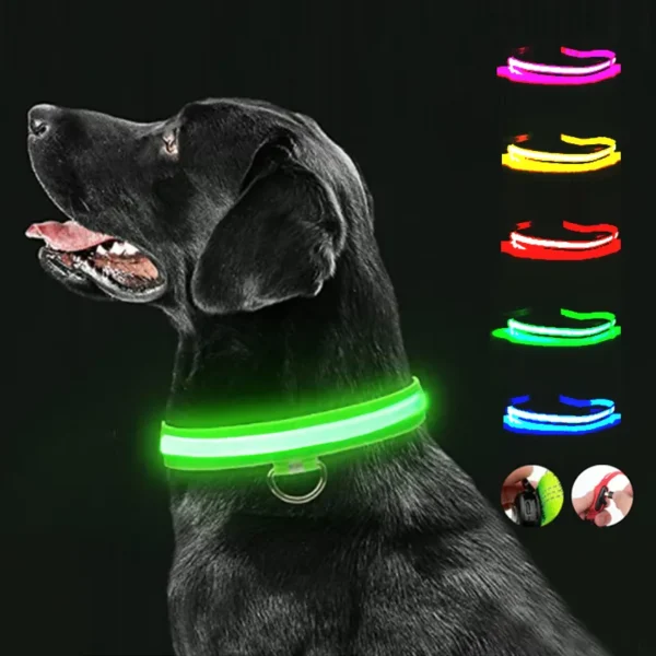 Electronic Pet LED Dog Collar Adjustable Flash Recharge