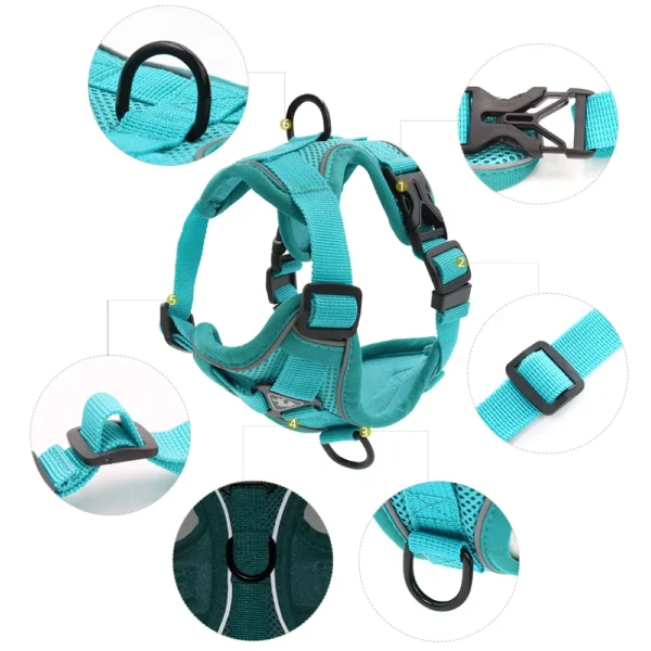 Cat Harness and Leash Walking Outdoor