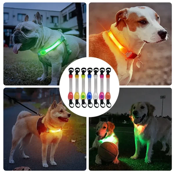 Dog Collar Outdoor Waterproof LED Flashing Light