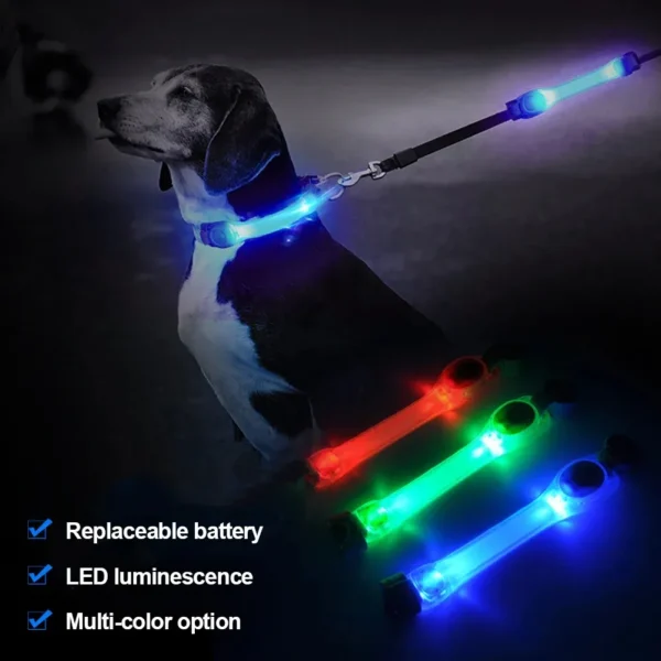 Dog Collar Outdoor Waterproof LED Flashing Light