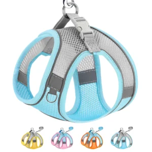 Small Puppy Dog Harness Leash Set