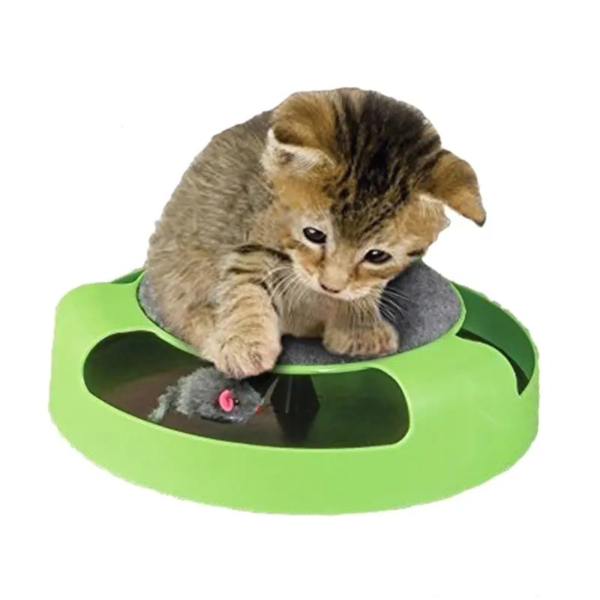 Cat Training Toys with Moving Mouse Inside