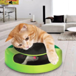 Cat Training Toys with Moving Mouse Inside