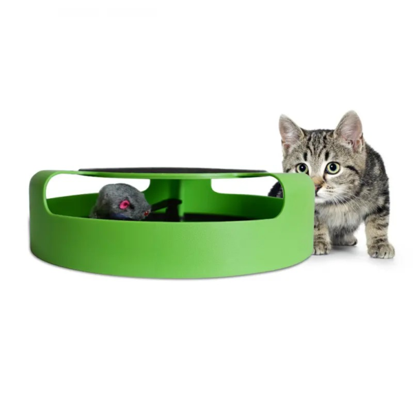 Cat Training Toys with Moving Mouse Inside