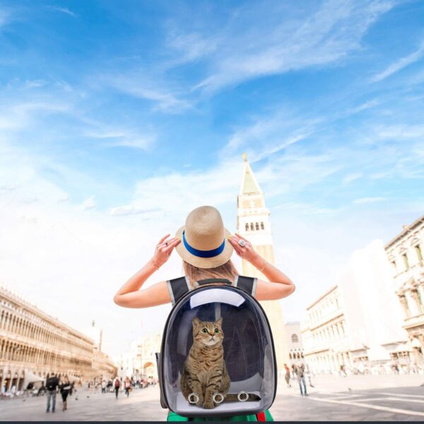 Cat Backpack Pet Carrier Bubble Carrying Bag Small Dog Pet Manufacturer Space Capsule Carrier for Small Medium Dogs Cats
