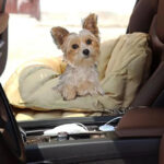 Pet Carrier Handbag Travel Dog Handbag Oxford PU Pet Carrier Bag Dog Car Seat Travel Handbag Cat Beds Travel Bag Dog Products