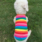 Newly Design Rainbow Stripe Pet Shirt Vest Dog Clothes for Pet Puppy Cat Apparel Costume Clothing for Teddy Summer Clothing