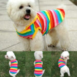Newly Design Rainbow Stripe Pet Shirt Vest Dog Clothes for Pet Puppy Cat Apparel Costume Clothing for Teddy Summer Clothing